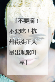 不要摘！不要吃！杭州街头正大量出现紫叶李