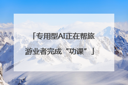 专用型AI正在帮旅游业者完成“功课”