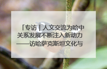 专访｜人文交流为哈中关系发展不断注入新动力——访哈萨克斯坦文化与信息部部长巴拉耶娃