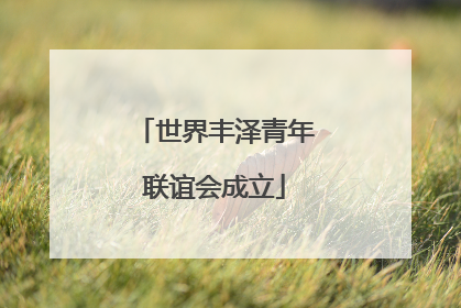 世界丰泽青年联谊会成立