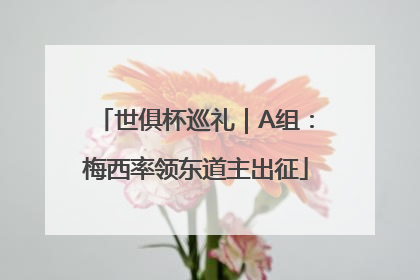 世俱杯巡礼｜A组：梅西率领东道主出征