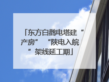 东方白鹳电塔建“产房” “陕电入皖”架线延工期