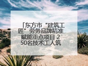 东方市“建筑工匠”劳务品牌精准赋能重点项目 250名技术工人筑牢建设基石
