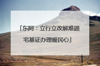 东阿：立行立改解难题 宅基证办理暖民心