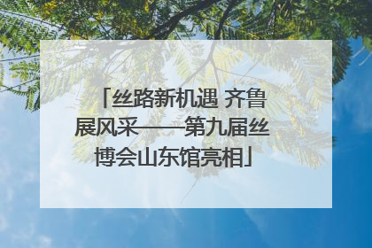 丝路新机遇 齐鲁展风采——第九届丝博会山东馆亮相