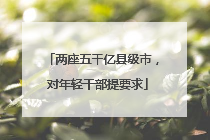 两座五千亿县级市，对年轻干部提要求