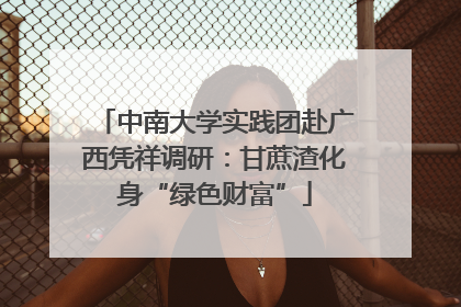 中南大学实践团赴广西凭祥调研：甘蔗渣化身“绿色财富”