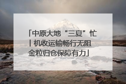中原大地“三夏”忙丨机收运输畅行无阻 金粒归仓保障有力