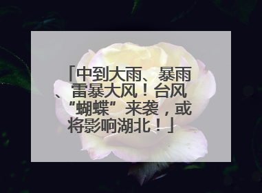 中到大雨、暴雨、雷暴大风！台风“蝴蝶”来袭，或将影响湖北！