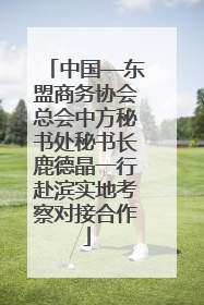 中国—东盟商务协会总会中方秘书处秘书长鹿德晶一行赴滨实地考察对接合作