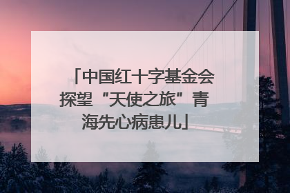 中国红十字基金会探望“天使之旅”青海先心病患儿