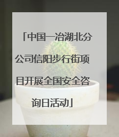 中国一冶湖北分公司信阳步行街项目开展全国安全咨询日活动