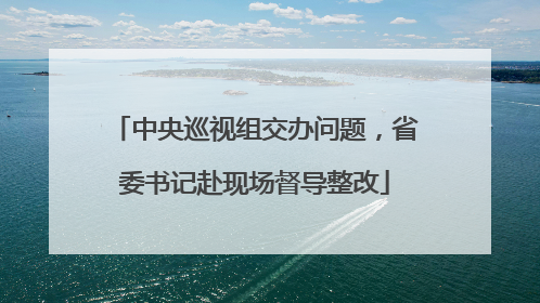 中央巡视组交办问题，省委书记赴现场督导整改