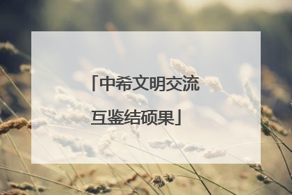 中希文明交流互鉴结硕果