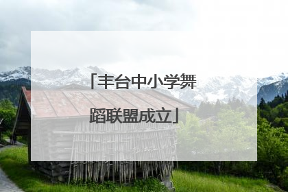 丰台中小学舞蹈联盟成立