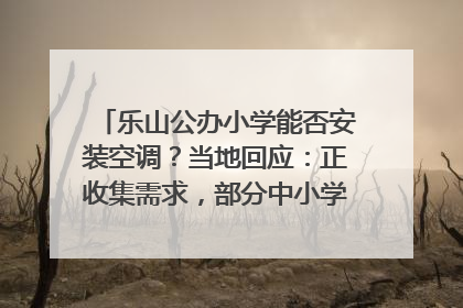 乐山公办小学能否安装空调？当地回应：正收集需求，部分中小学已启动安装｜云求助