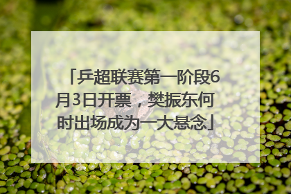 乒超联赛第一阶段6月3日开票，樊振东何时出场成为一大悬念