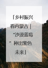 乡村振兴看内蒙古｜“沙漠蓝莓”种出紫色未来