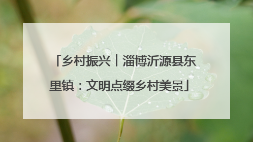 乡村振兴︱淄博沂源县东里镇：文明点缀乡村美景