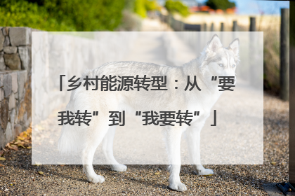 乡村能源转型：从“要我转”到“我要转”