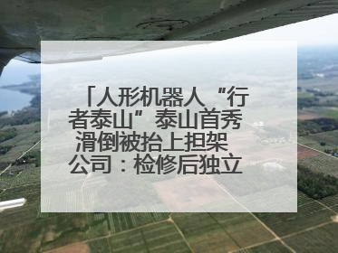 人形机器人“行者泰山”泰山首秀滑倒被抬上担架 公司：检修后独立下山 测试就是为暴露问题