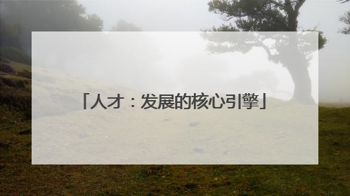 人才：发展的核心引擎