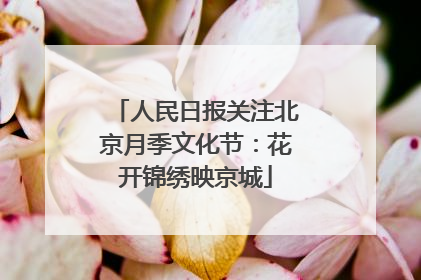 人民日报关注北京月季文化节：花开锦绣映京城