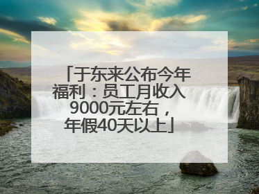 于东来公布今年福利：员工月收入9000元左右，年假40天以上