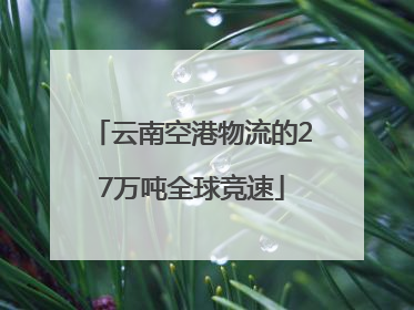 云南空港物流的27万吨全球竞速