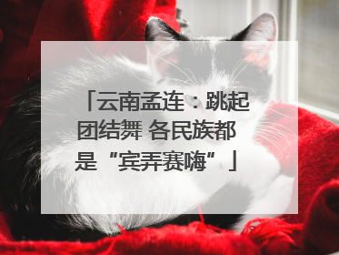 云南孟连：跳起团结舞 各民族都是“宾弄赛嗨”