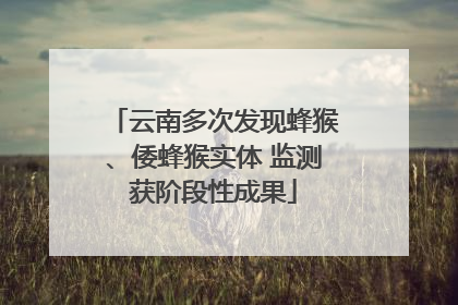 云南多次发现蜂猴、倭蜂猴实体 监测获阶段性成果