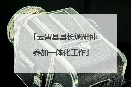云霄县县长调研种养加一体化工作