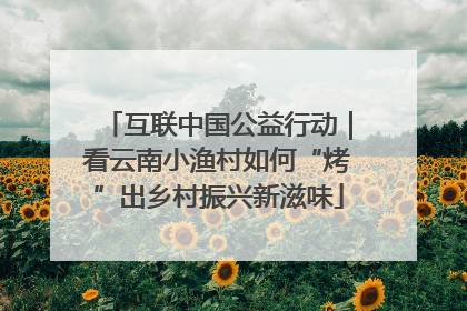 互联中国公益行动｜看云南小渔村如何“烤”出乡村振兴新滋味