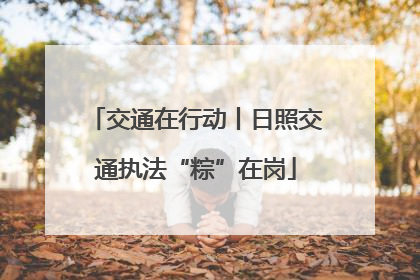 交通在行动丨日照交通执法“粽”在岗