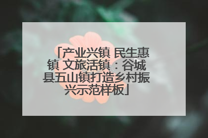 产业兴镇 民生惠镇 文旅活镇：谷城县五山镇打造乡村振兴示范样板