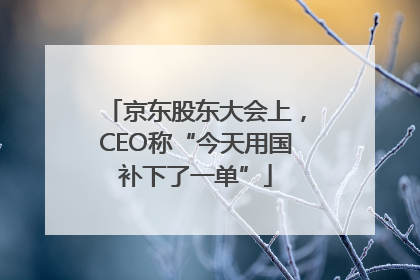 京东股东大会上，CEO称“今天用国补下了一单”