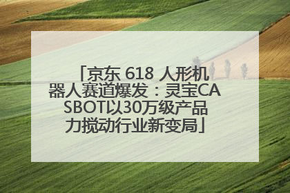 京东 618 人形机器人赛道爆发：灵宝CASBOT以30万级产品力搅动行业新变局