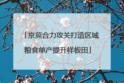 京冀合力攻关打造区域粮食单产提升样板田