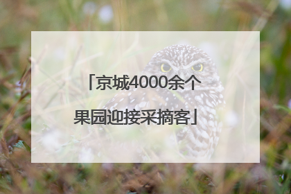 京城4000余个果园迎接采摘客