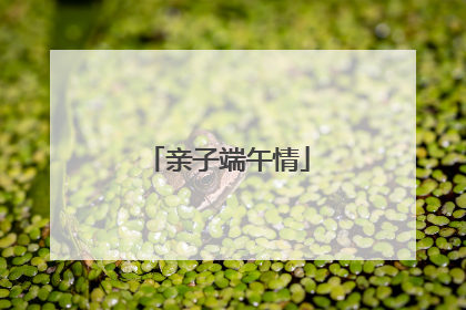 亲子端午情