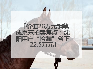 价值26万元钢笔成京东拍卖焦点：沈阳用户“捡漏”省下22.5万元
