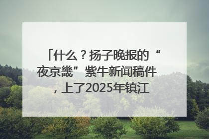 什么？扬子晚报的“夜京畿”紫牛新闻稿件，上了2025年镇江中考模拟卷！
