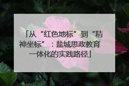 从“红色地标”到“精神坐标”：盐城思政教育一体化的实践路径