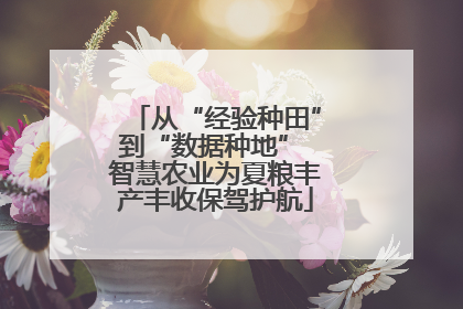 从“经验种田”到“数据种地” 智慧农业为夏粮丰产丰收保驾护航