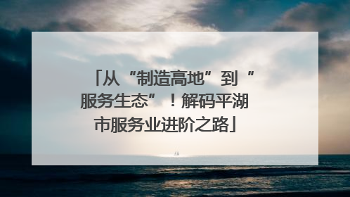 从“制造高地”到“服务生态”！解码平湖市服务业进阶之路