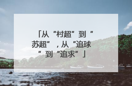从“村超”到“苏超”，从“追球”到“追求”