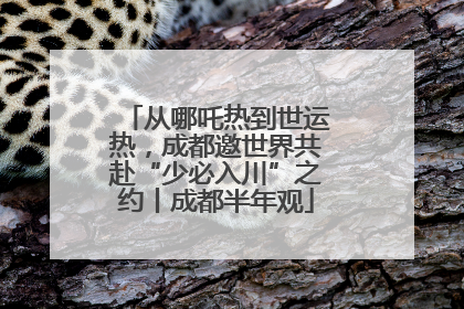 从哪吒热到世运热，成都邀世界共赴“少必入川”之约丨成都半年观