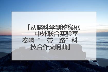 从脑科学到猕猴桃——中外联合实验室奏响“一带一路”科技合作交响曲