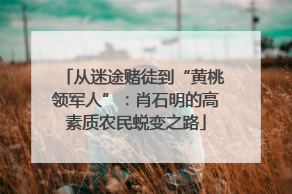 从迷途赌徒到“黄桃领军人”：肖石明的高素质农民蜕变之路