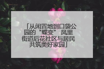 从闲置地到口袋公园的“蝶变” 凤里街道后花社区与居民共筑美好家园